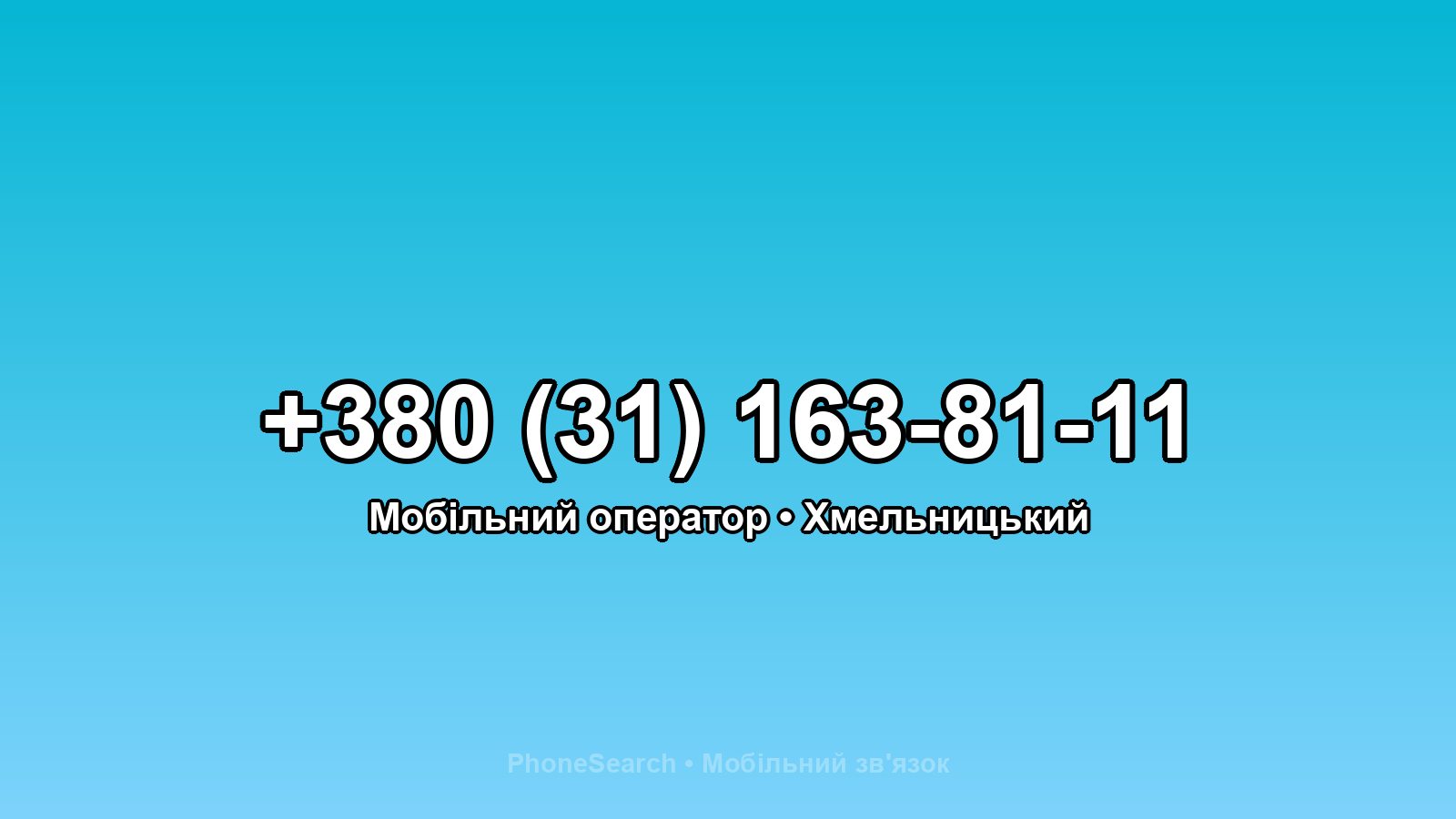 Номер +380 (31) 163-81-11 - вариант 1