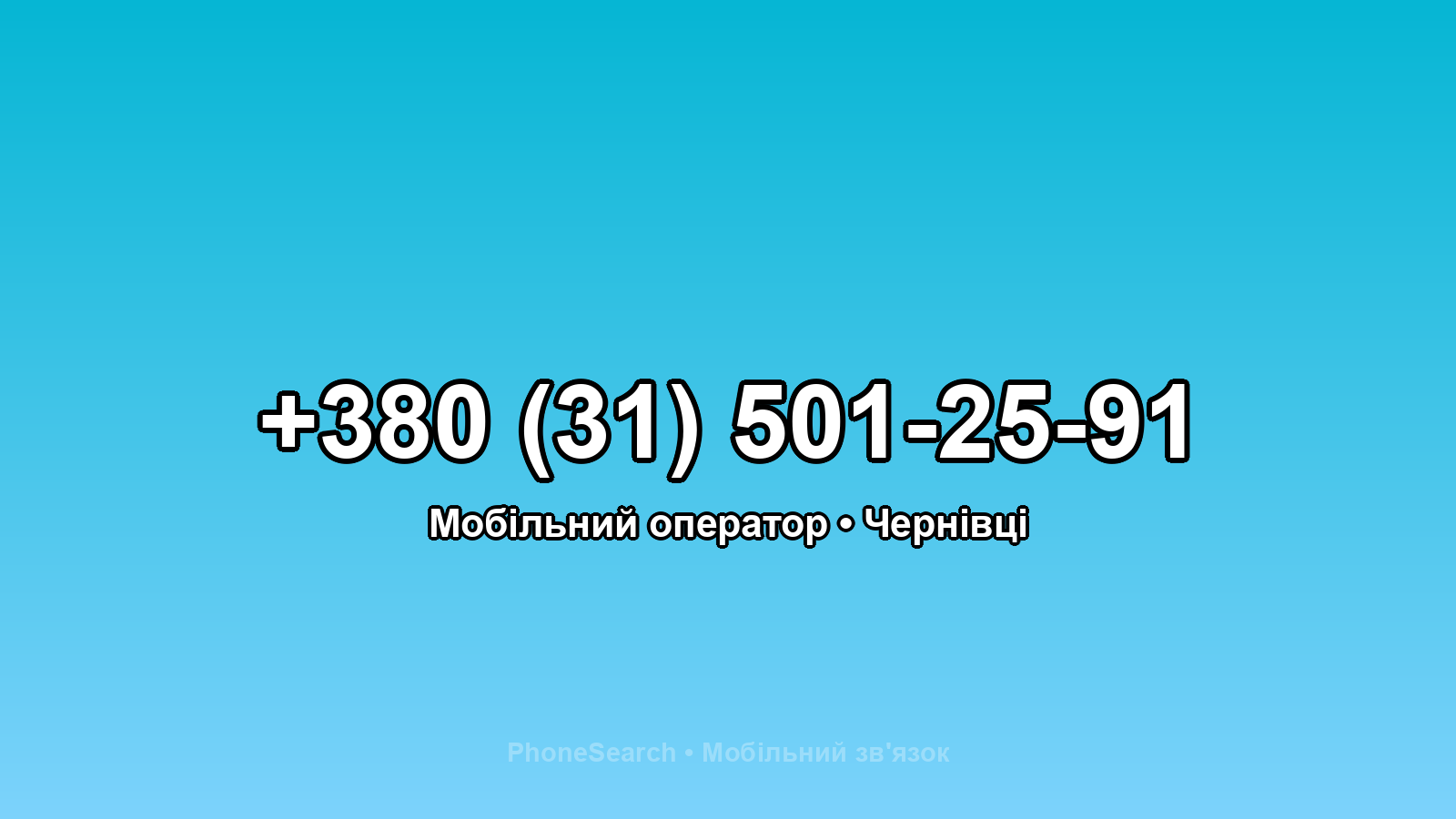 Номер +380 (31) 501-25-91 - вариант 2