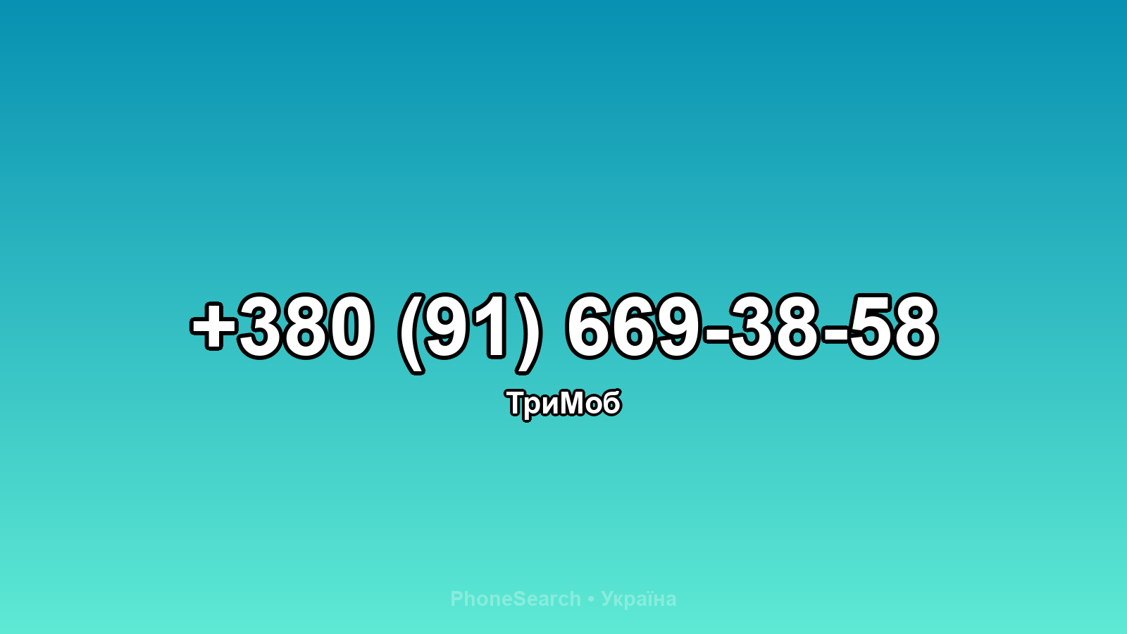 Номер +380 (91) 669-38-58 - вариант 2