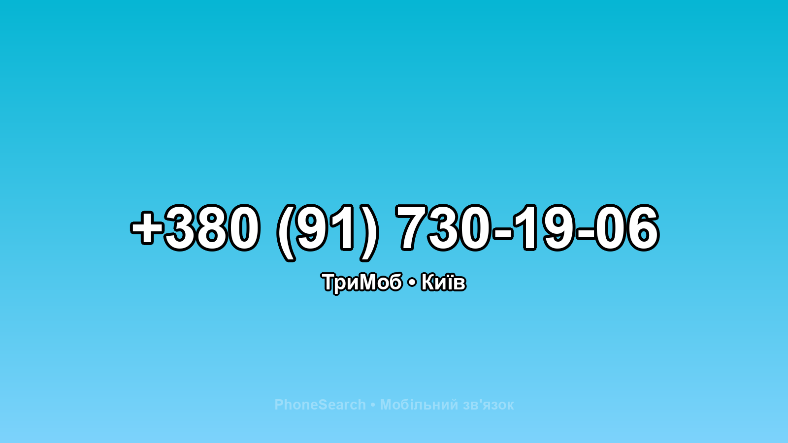 Номер +380 (91) 730-19-06 - вариант 2