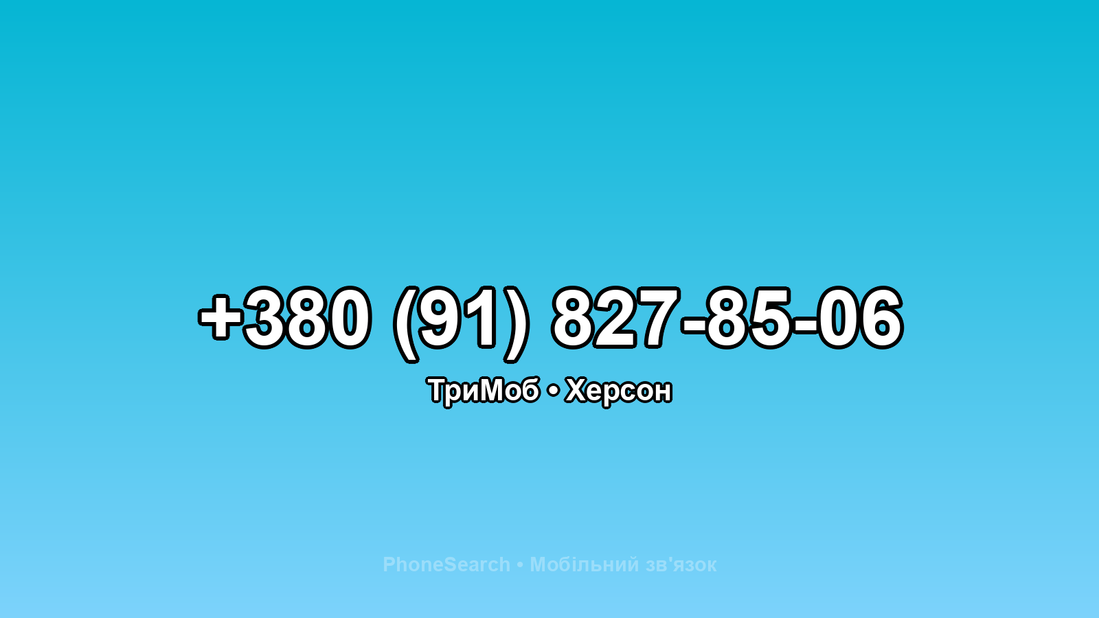 Номер +380 (91) 827-85-06 - вариант 2